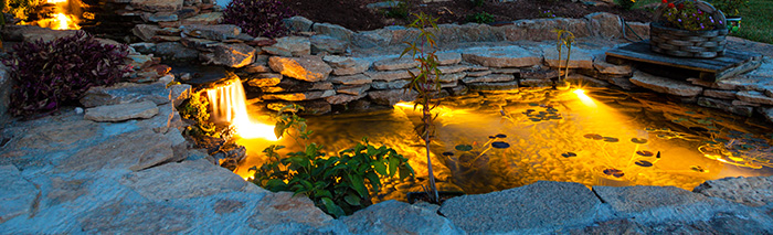 Ponds and water features