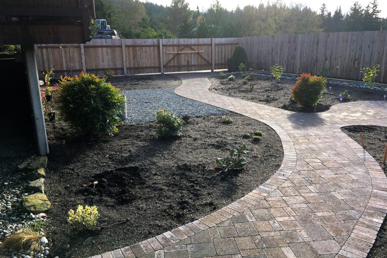 New backyard landscape