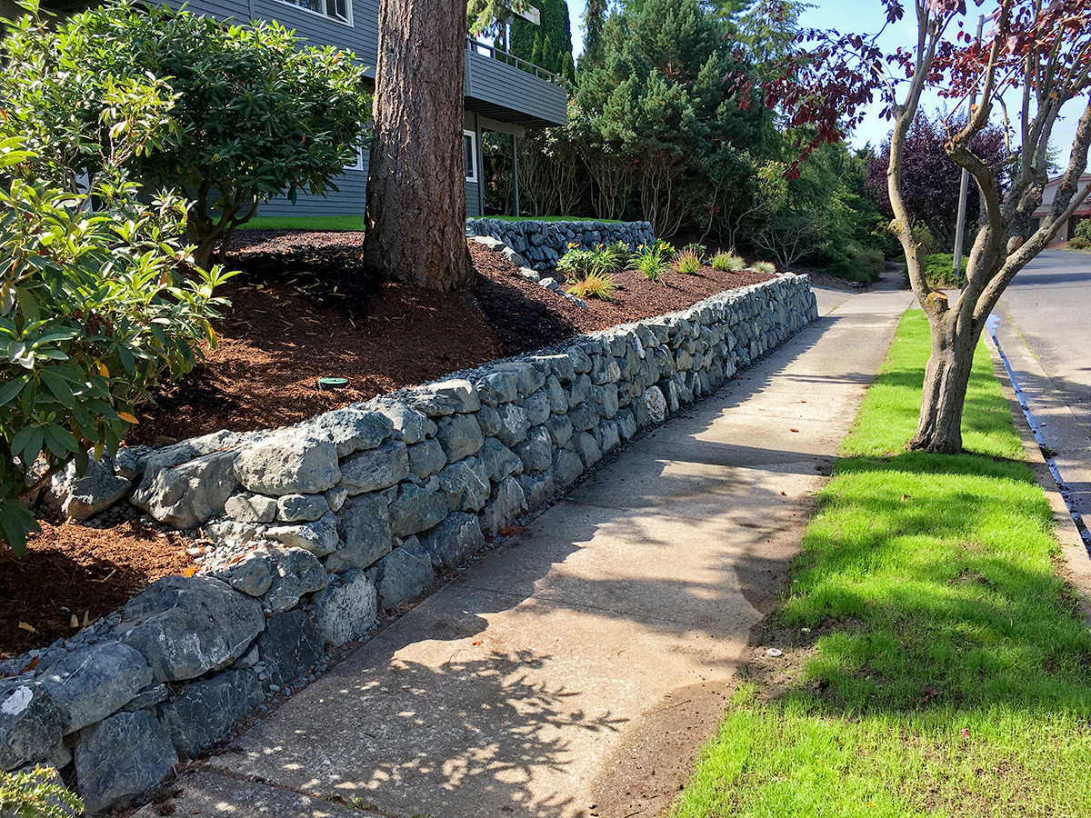 Whatcom Landscapes Bellingham Work Example